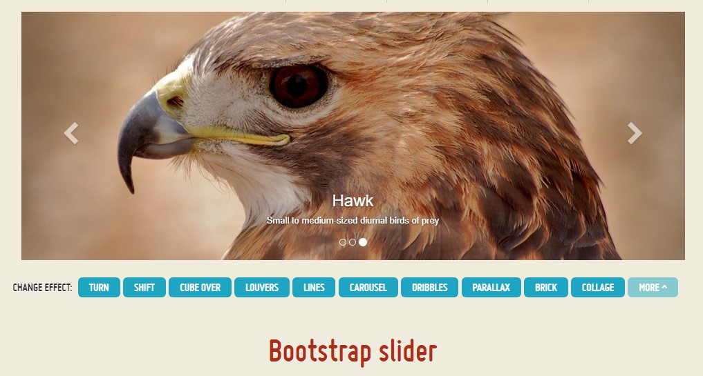  Bootstrap Image Slider Responsive 