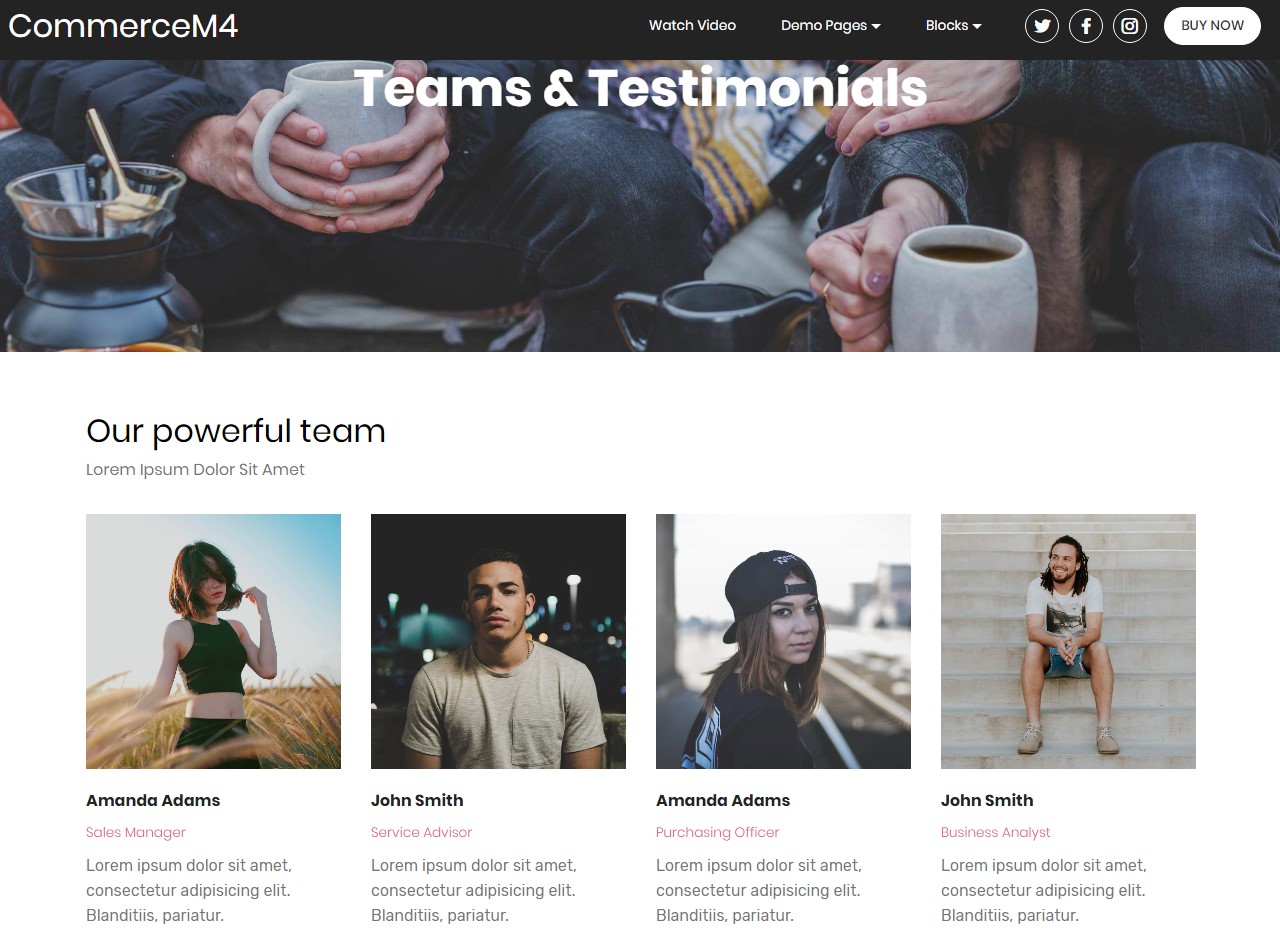 Teams and Testimonials Template for eCommerce Website