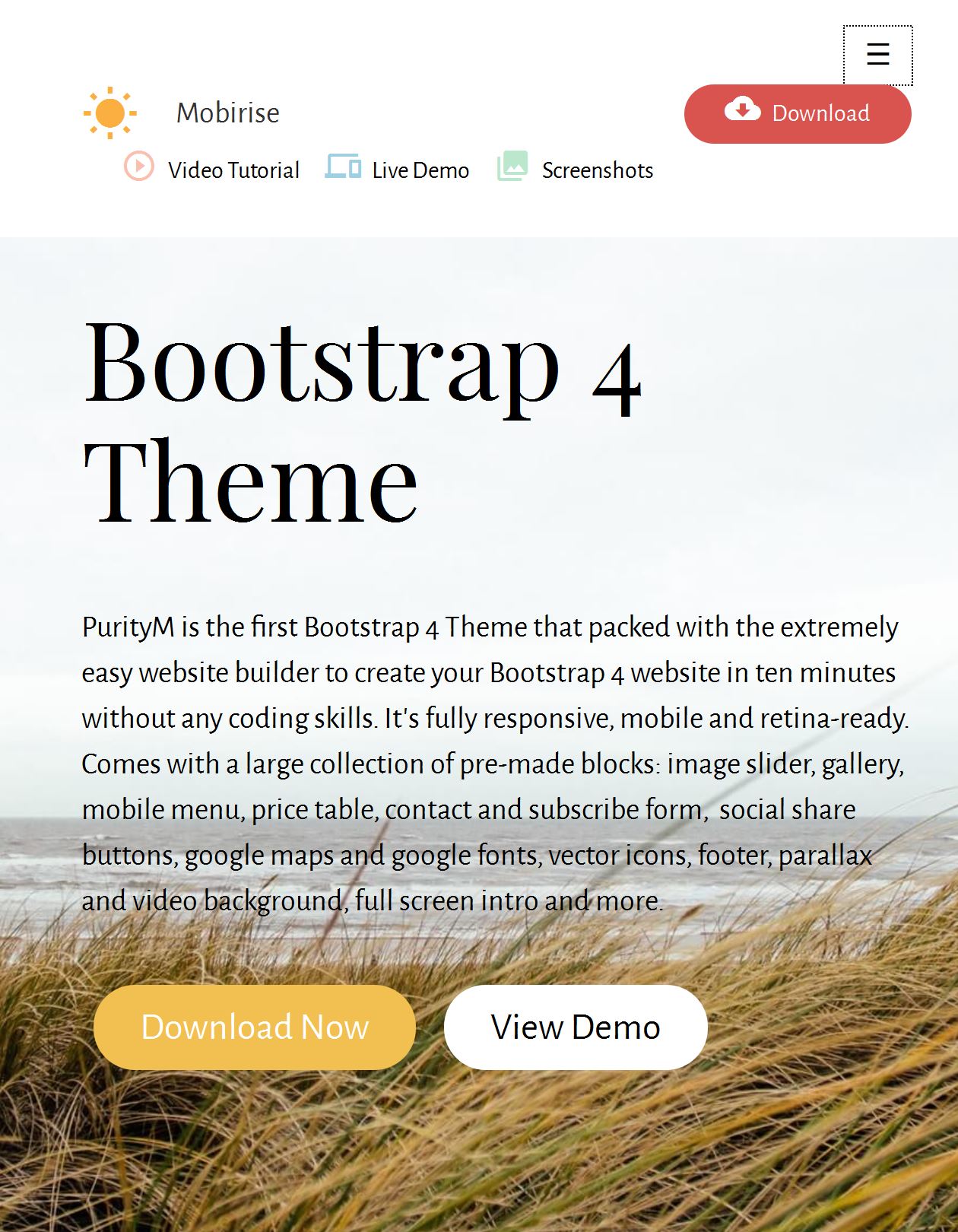 Bootstrap Header Template