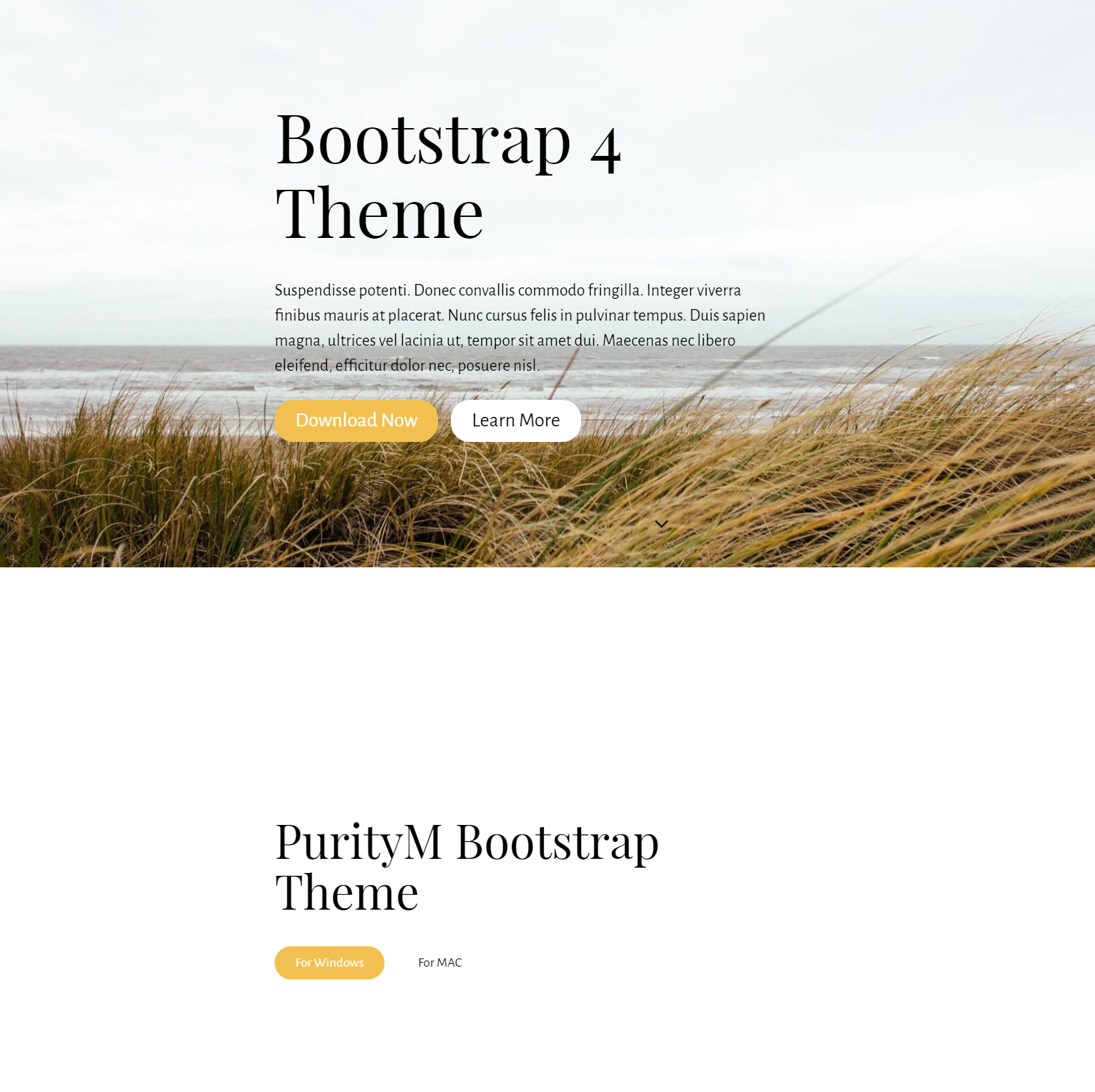 Free Download Bootstrap 4 Templates