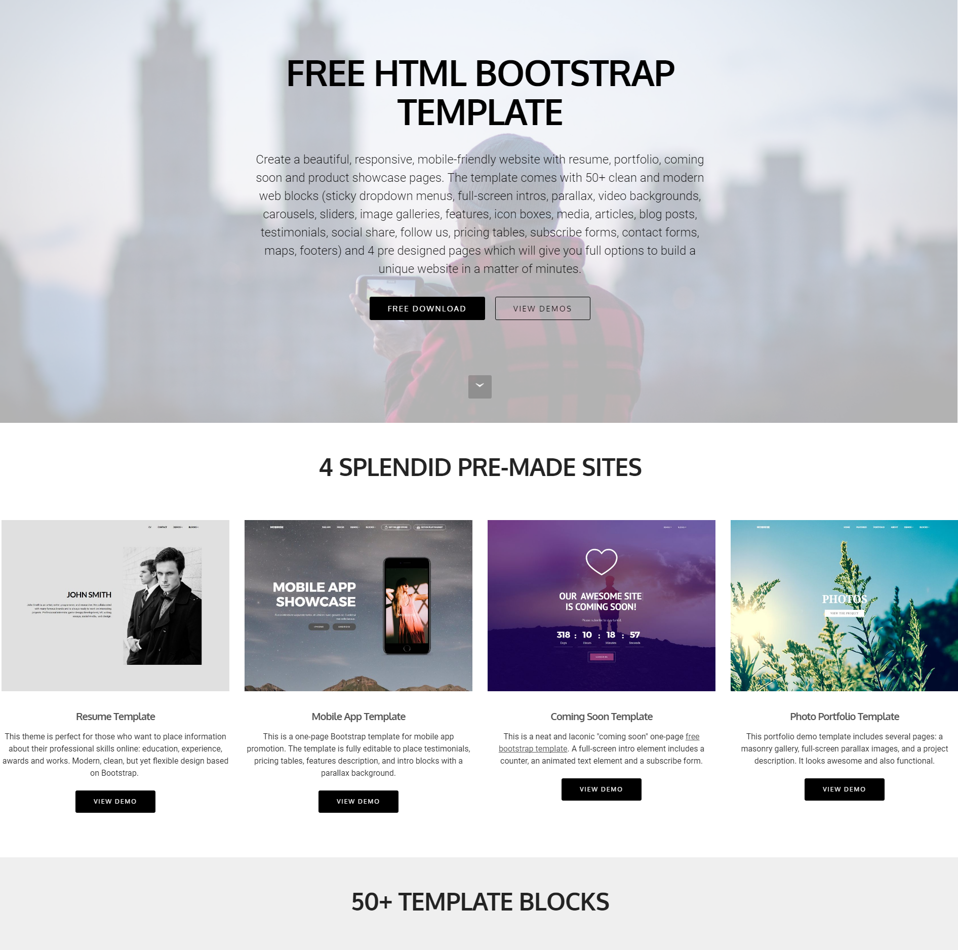 Bootstrap Responsive Templates Free Download For It Company