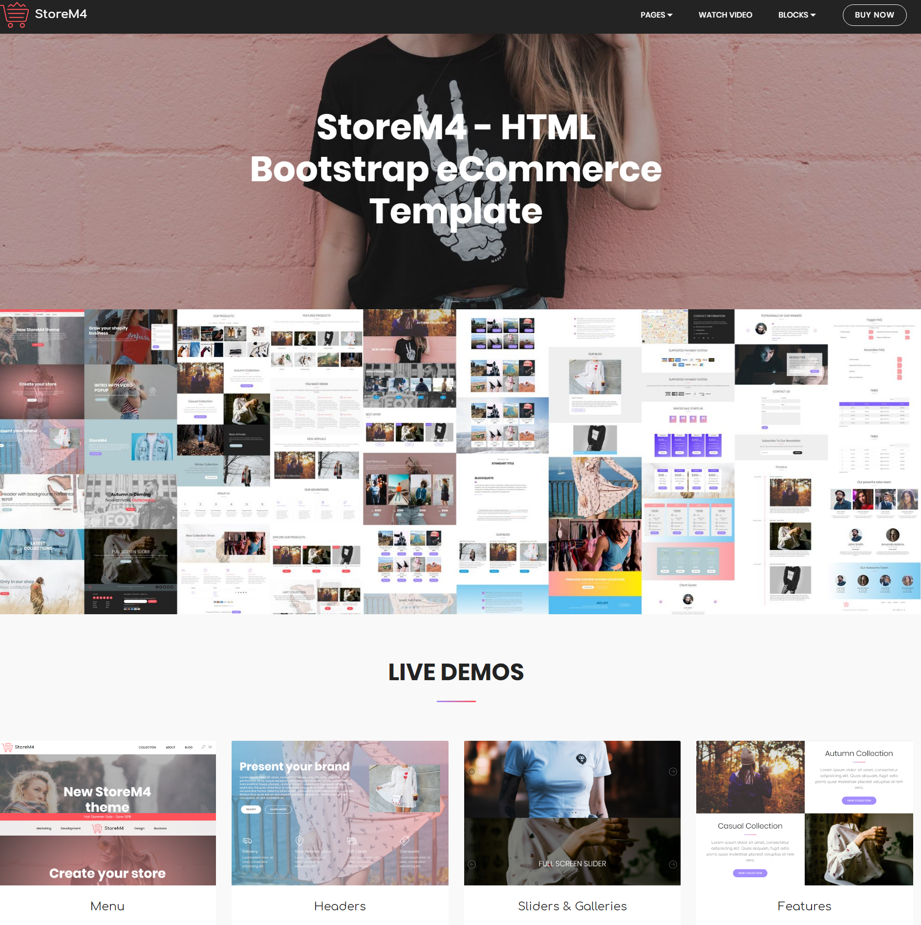 Free Bootstrap Storem4 Templates