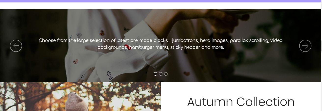 ecommerce bootstrap templates