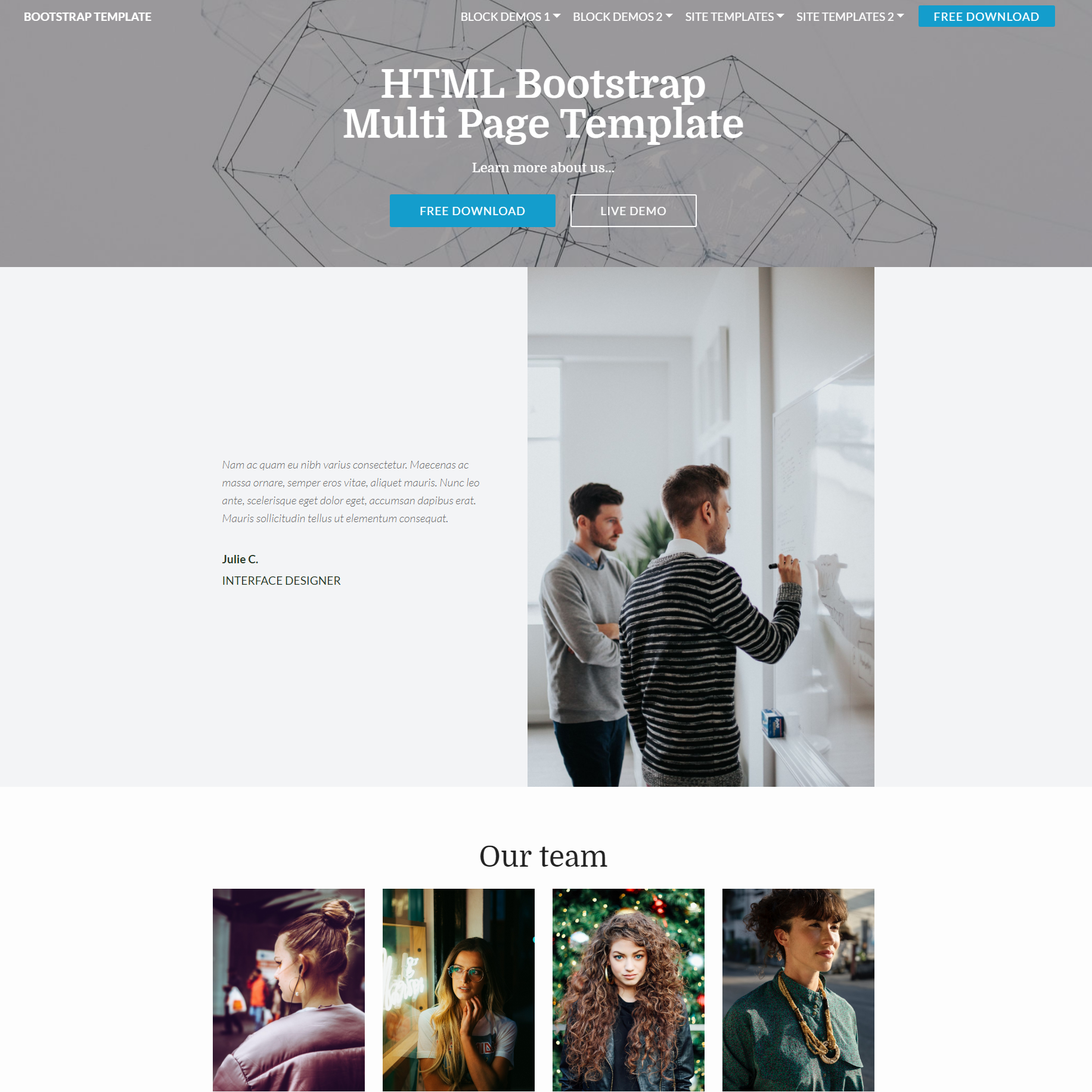 HTML Bootstrap Multi page Themes