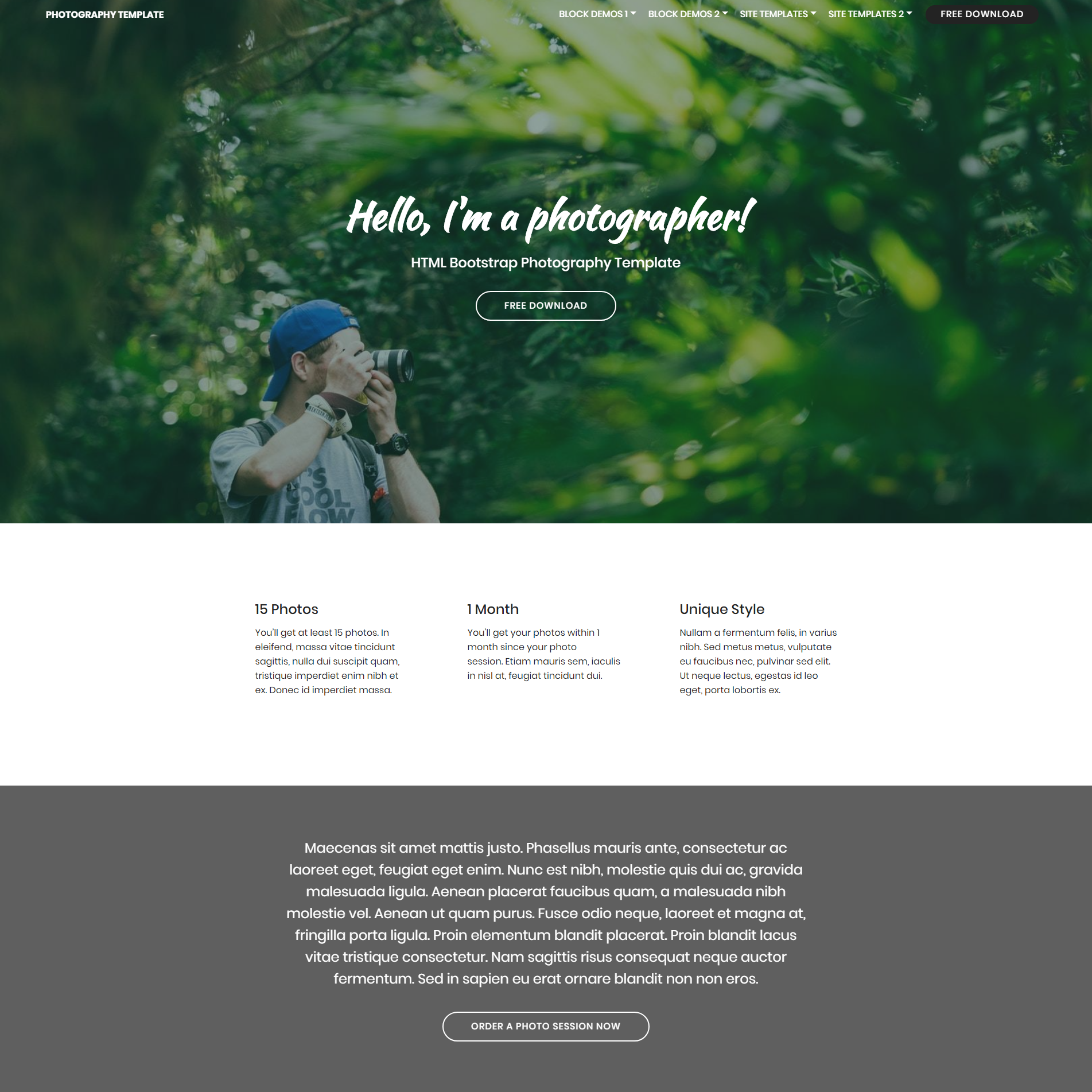 CSS3 Bootstrap Photography Themes