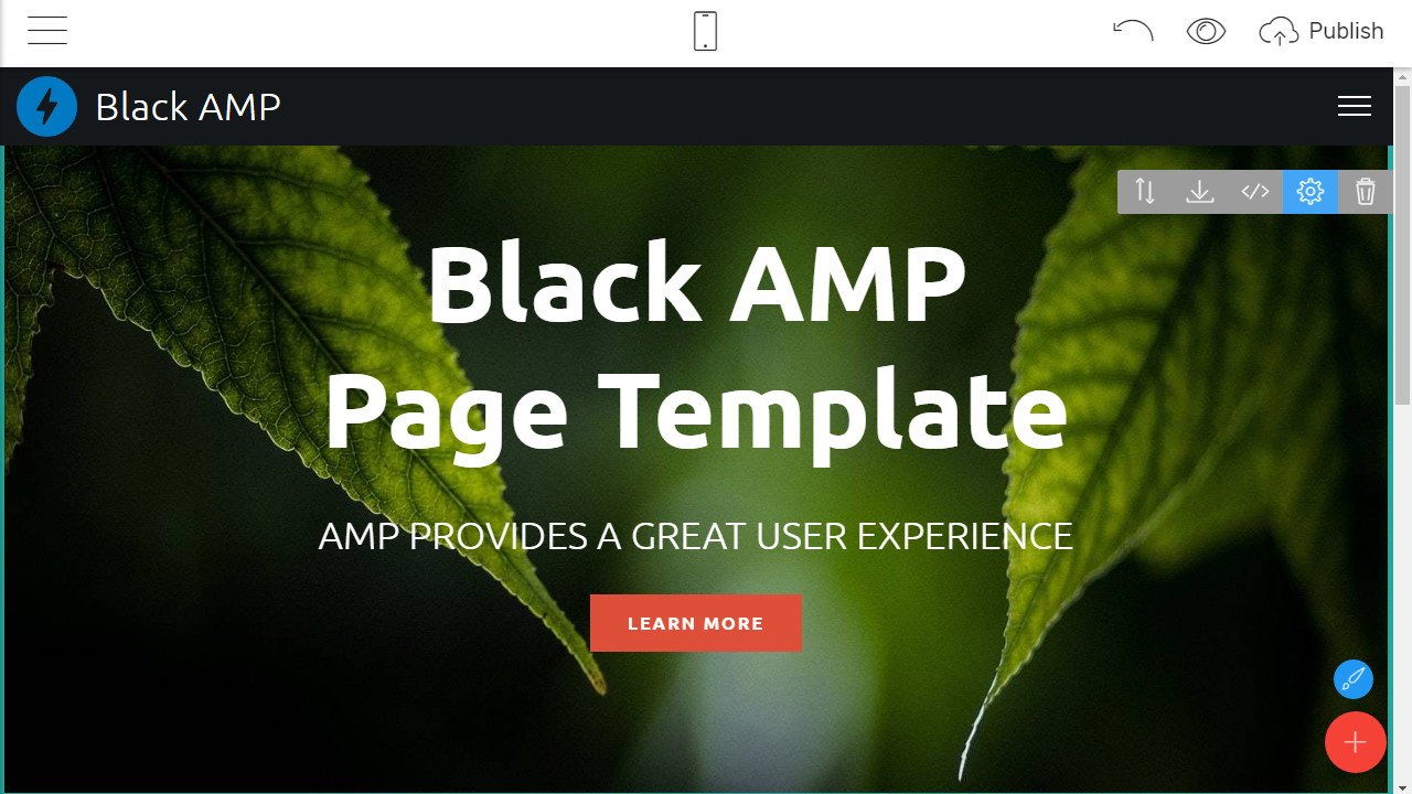 Black AMP Page Template Overview